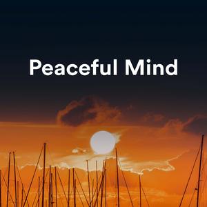 麻豆精品㊙️国产传媒夏夏
